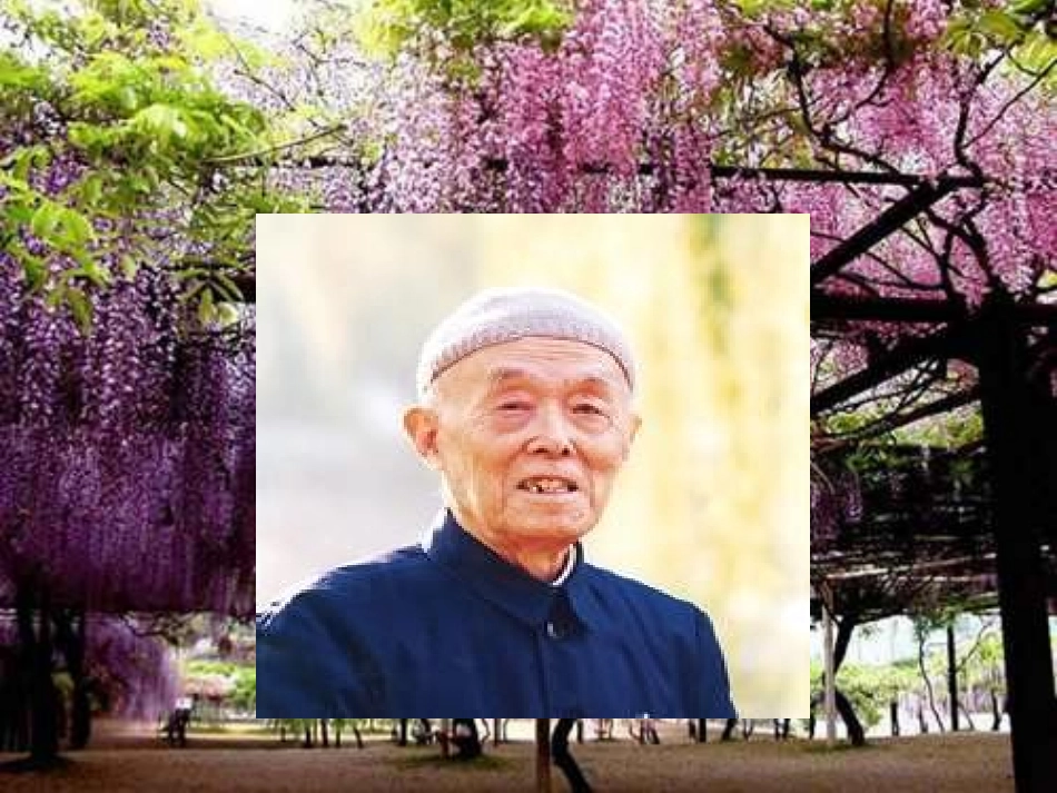 幽径悲剧说课PPT_第3页