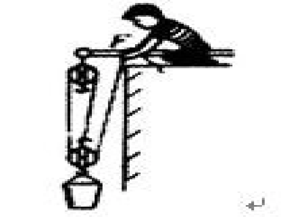 动滑轮和定滑轮_第3页