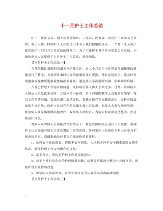 十一月护士工作总结