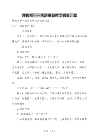 双十一活动策划范本锦集九篇