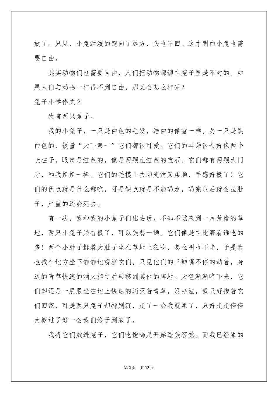 兔子小学作文_第2页