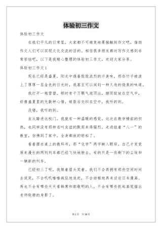 体验初三作文