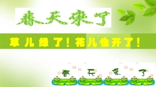 金凤子开红花