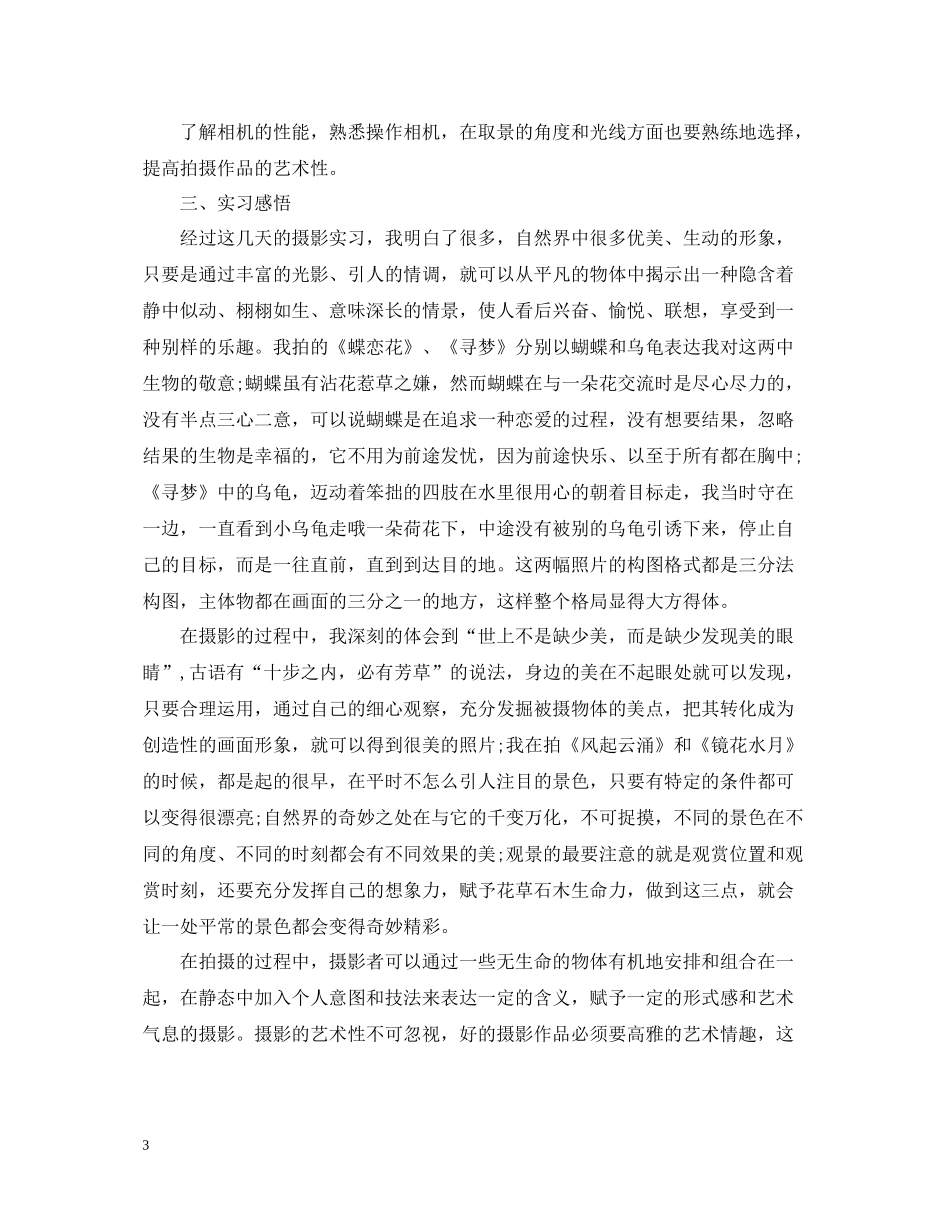 摄影助理实习总结_摄影个人工作总结报告_第3页