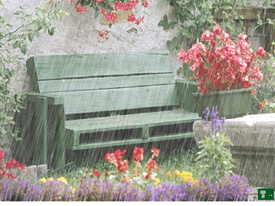 _11秋天的雨_第1页