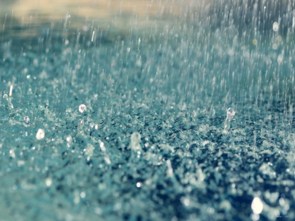 _11秋天的雨_第3页