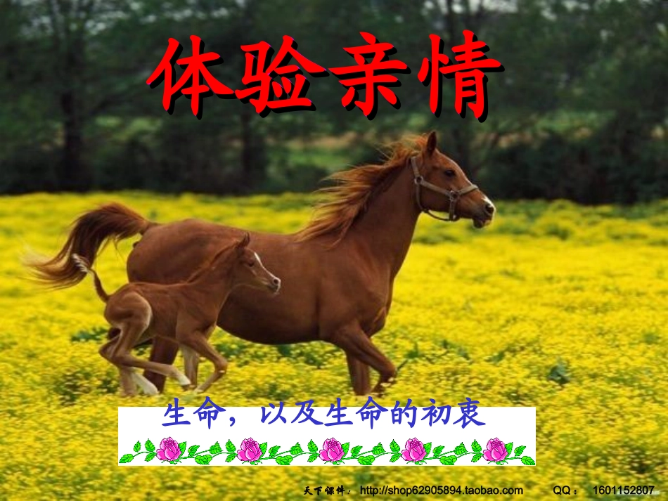 主题班会：亲情教育之尊重母亲，感悟母恩_第2页