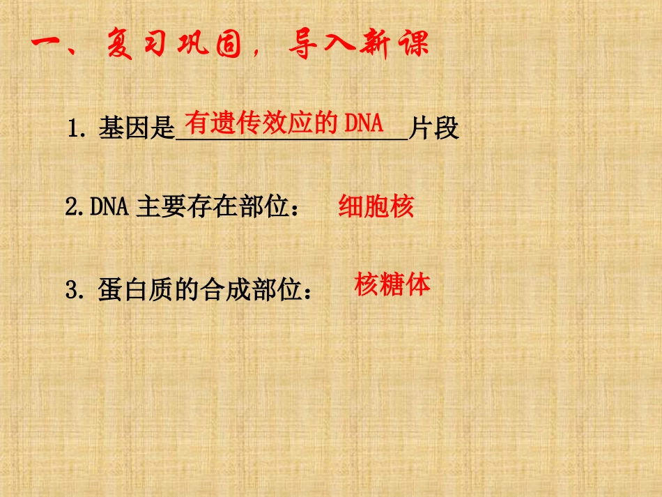 基因表达转录_第2页