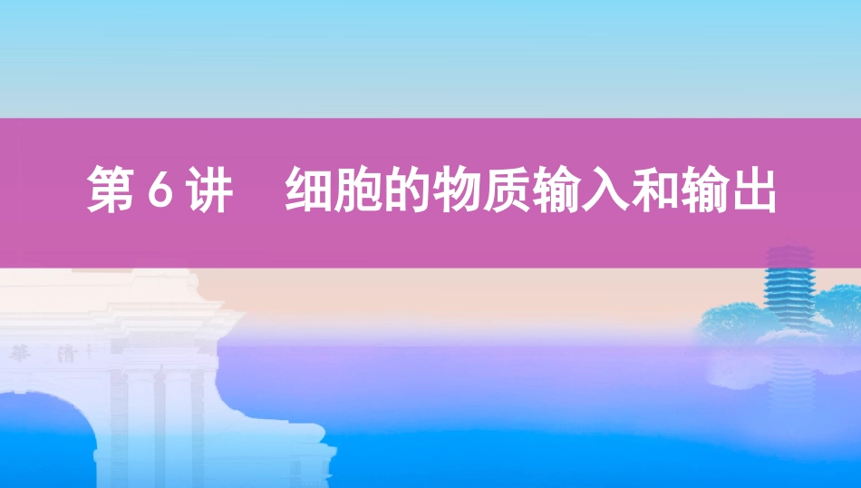 第6讲　细胞的物质输入和输出_第1页