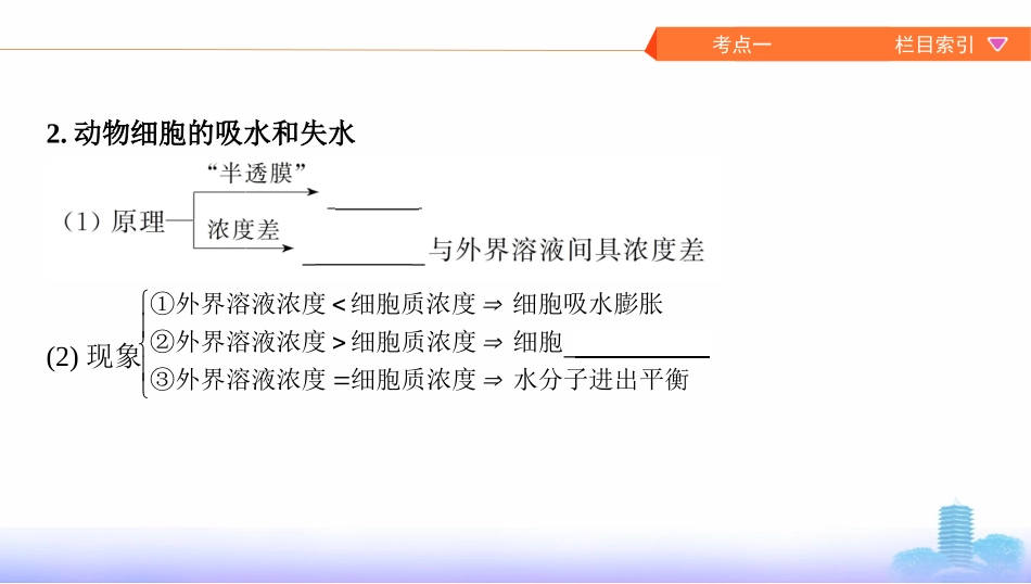 第6讲　细胞的物质输入和输出_第3页