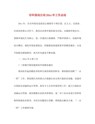 市环保局分局工作总结