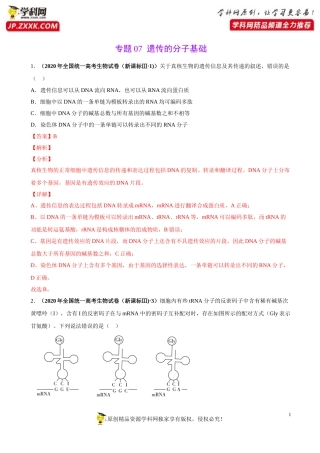 专题07遗传的分子基础-三年（2018-2020）高考真题生物分项汇编（解析版）
