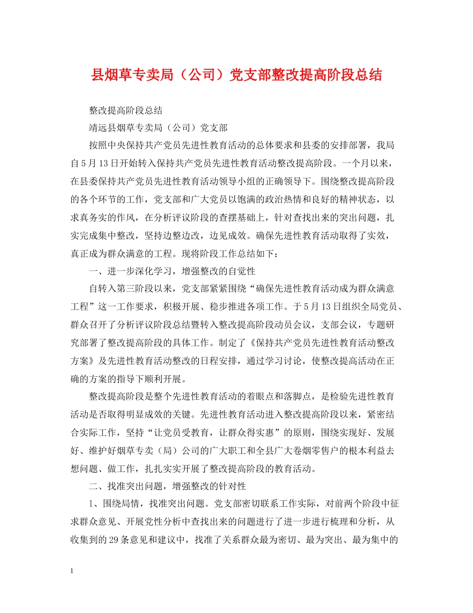 县烟草专卖局（公司）党支部整改提高阶段总结_第1页