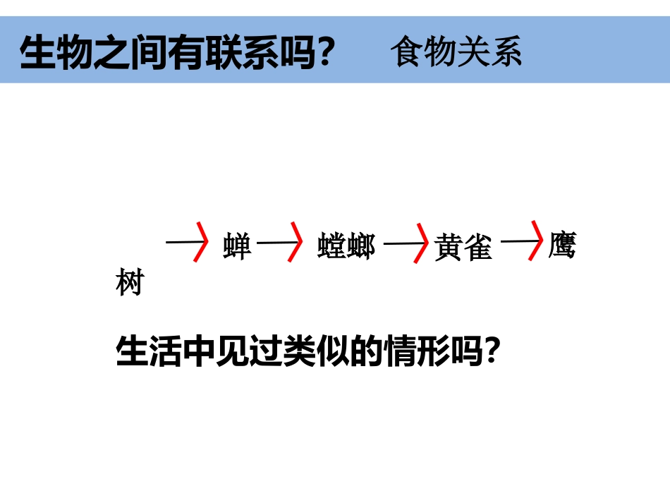 五上1-5《食物链和食物网》 (2)_第2页