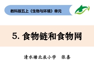 五上1-5《食物链和食物网》 (2)