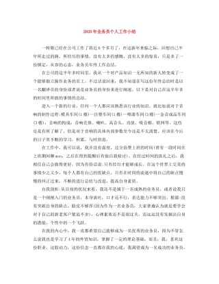 2020年业务员个人工作小结