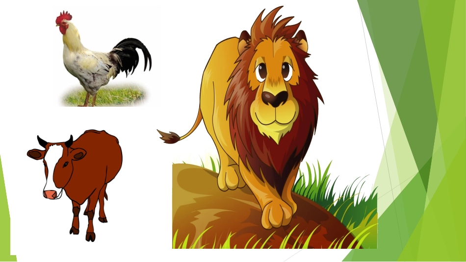 《声音的长短》课件1_第1页