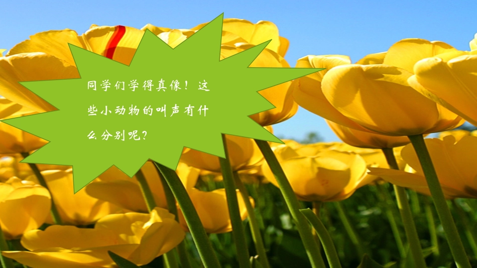 《声音的长短》课件1_第3页