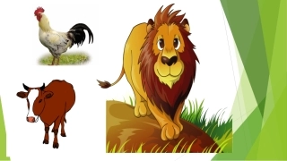 《声音的长短》课件1