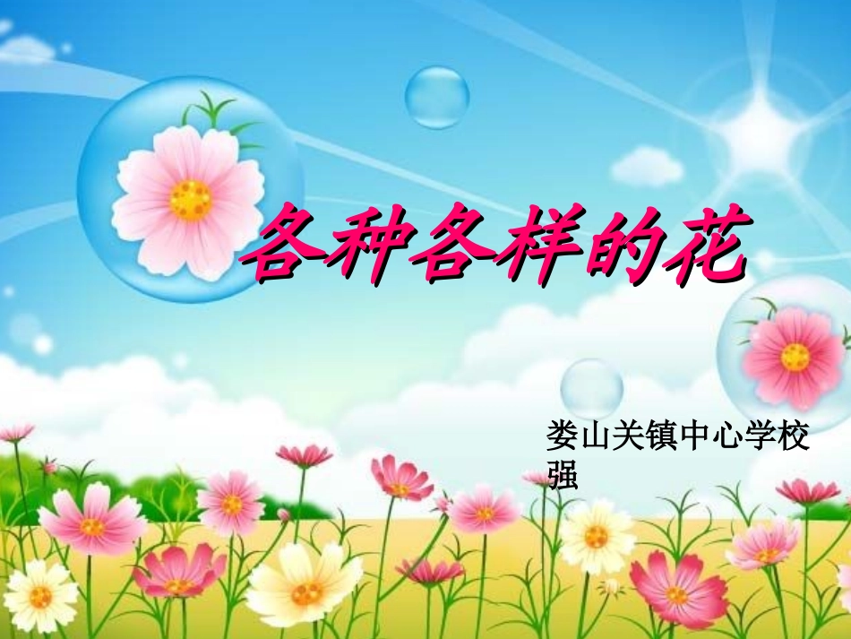 各种各样的花_第1页