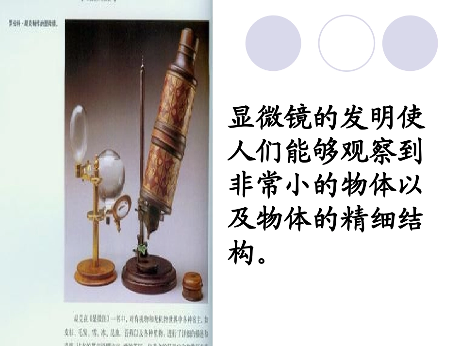 -用显微镜观察身边的生命世界_第1页