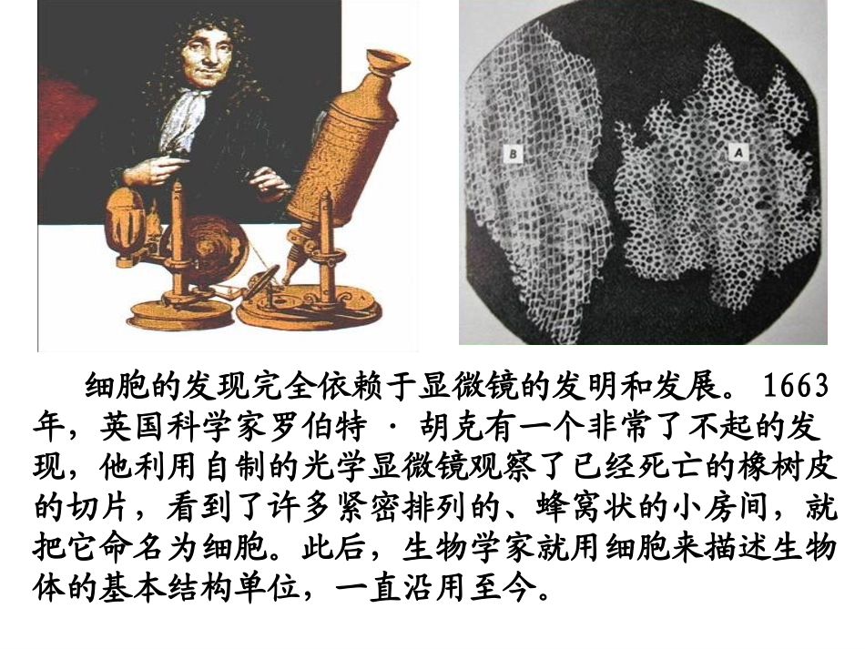 -用显微镜观察身边的生命世界_第3页