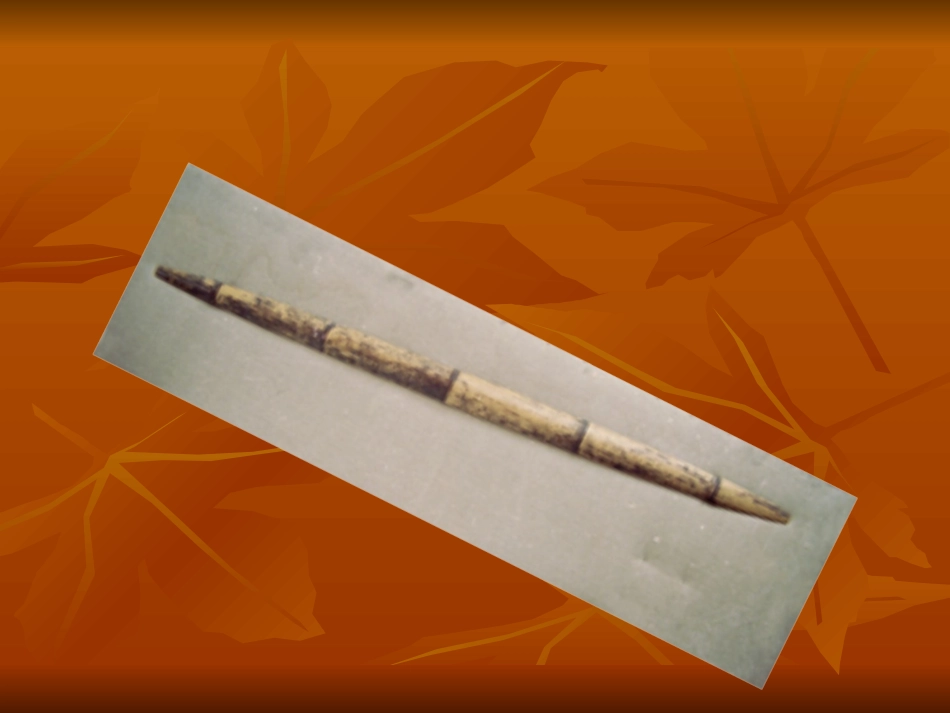 朱德的扁担(一)_第1页