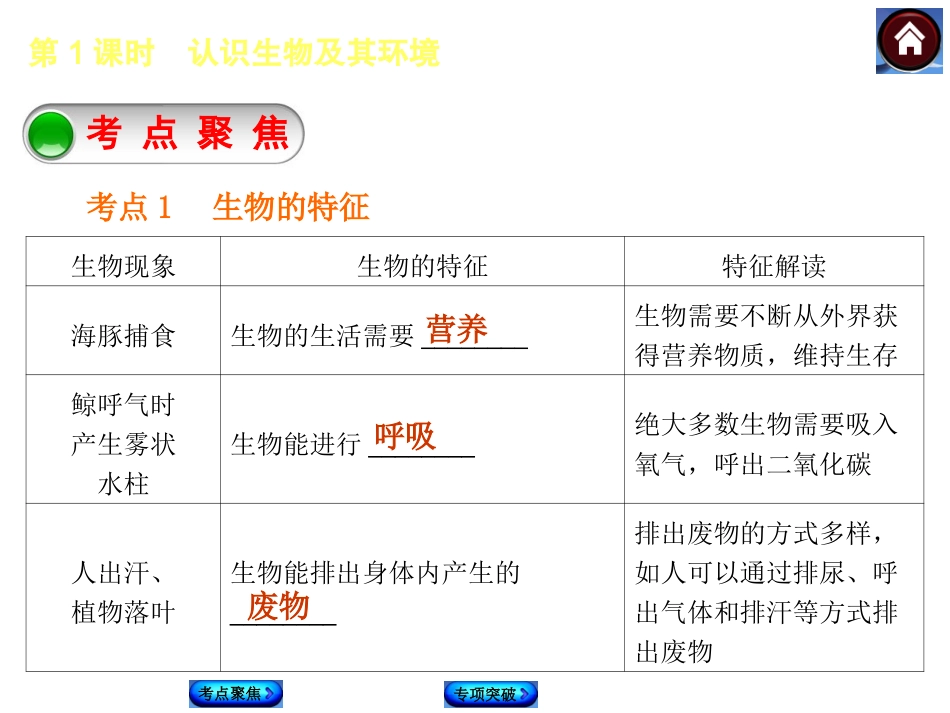 第1课时　认识生物及其环境（共26张PPT）_第2页