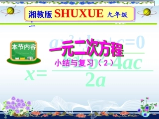 一元二次方程复习（2）