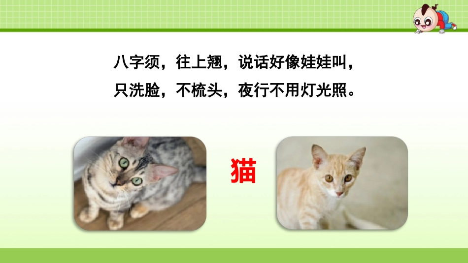 第二单元语文习作：小小“动物园”_第2页