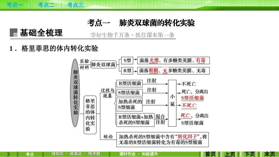 第17讲DNA是主要的遗传物质_第3页