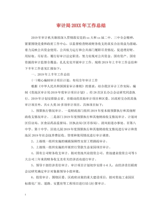 审计局工作总结