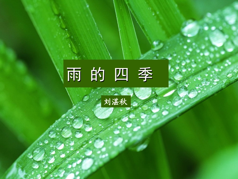 雨的四季2(1)-副本_第1页
