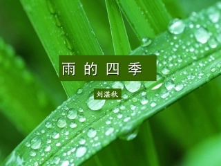 雨的四季2(1)-副本