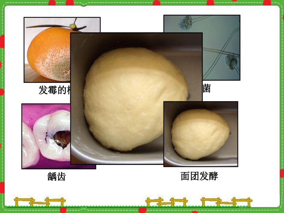 五下第三单元_2无处不在的微生物_教学课件_第3页