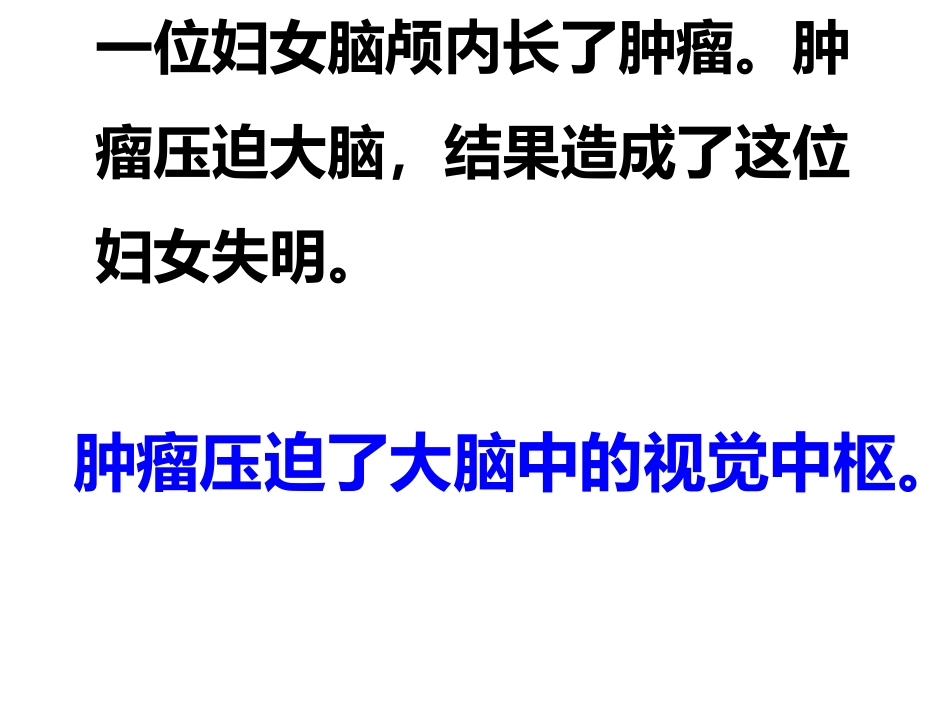 神经系统的组成_第1页