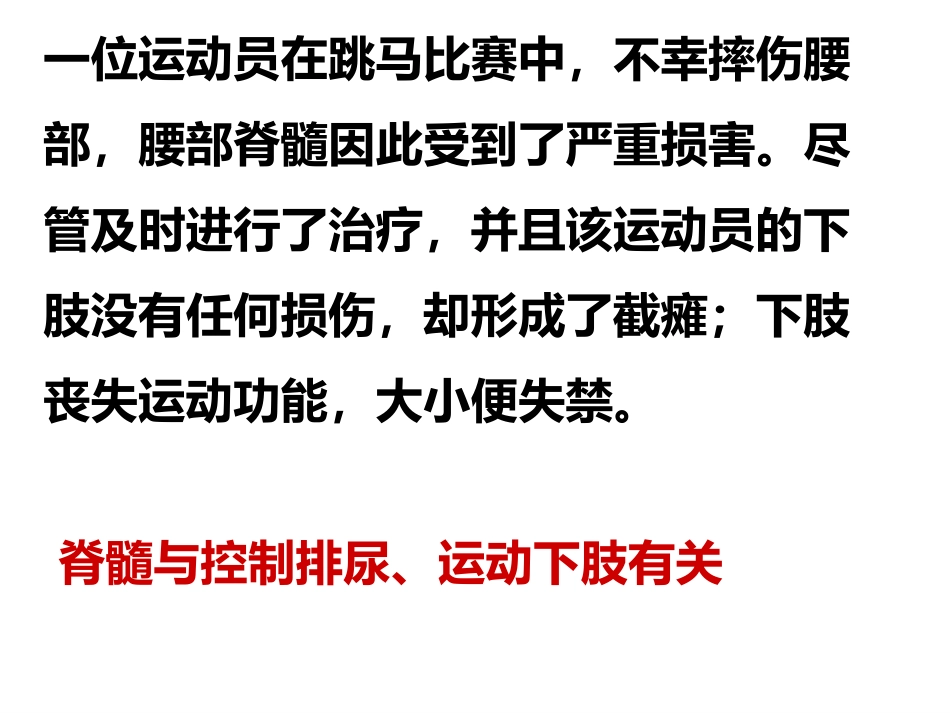 神经系统的组成_第2页