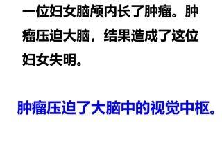 神经系统的组成