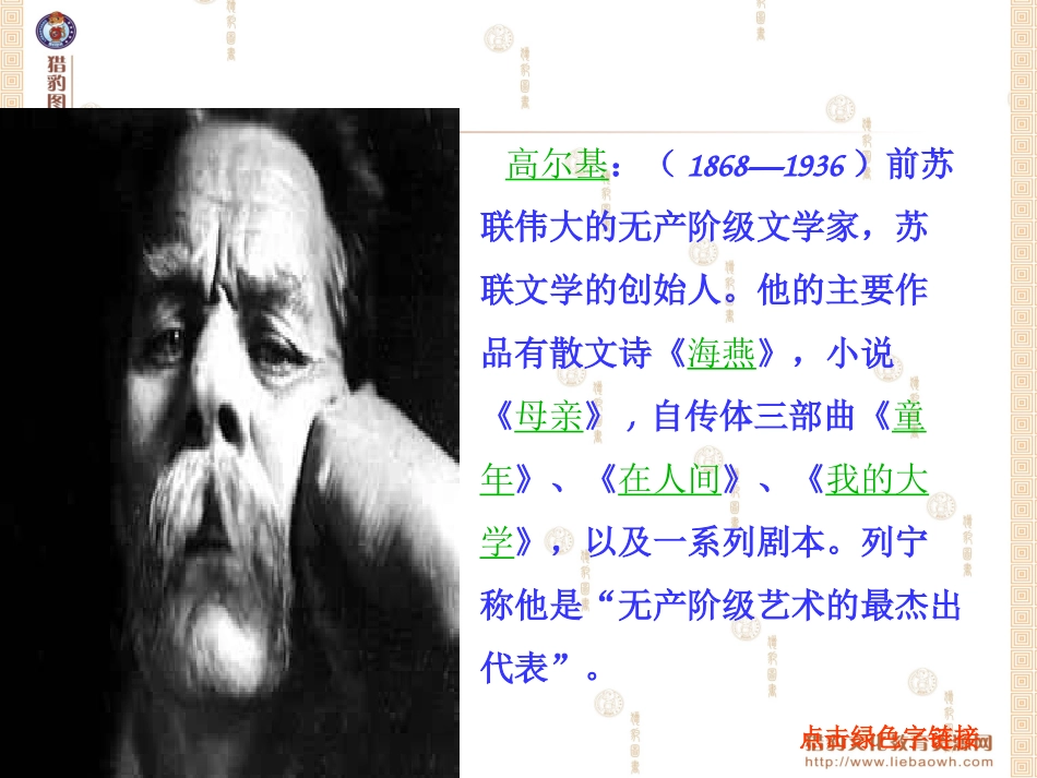 小摄影师PPT_第3页