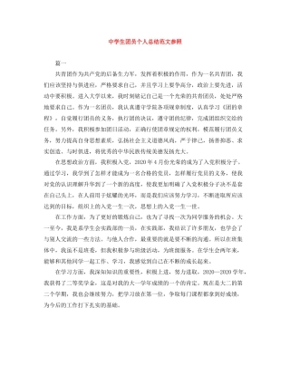 生团员个人总结范文参照