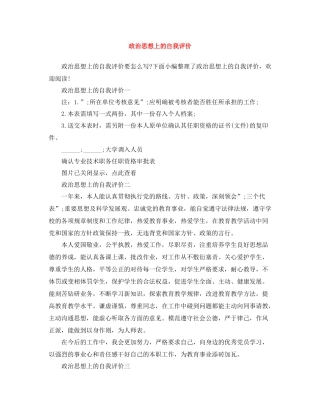 政治思想上的自我评价