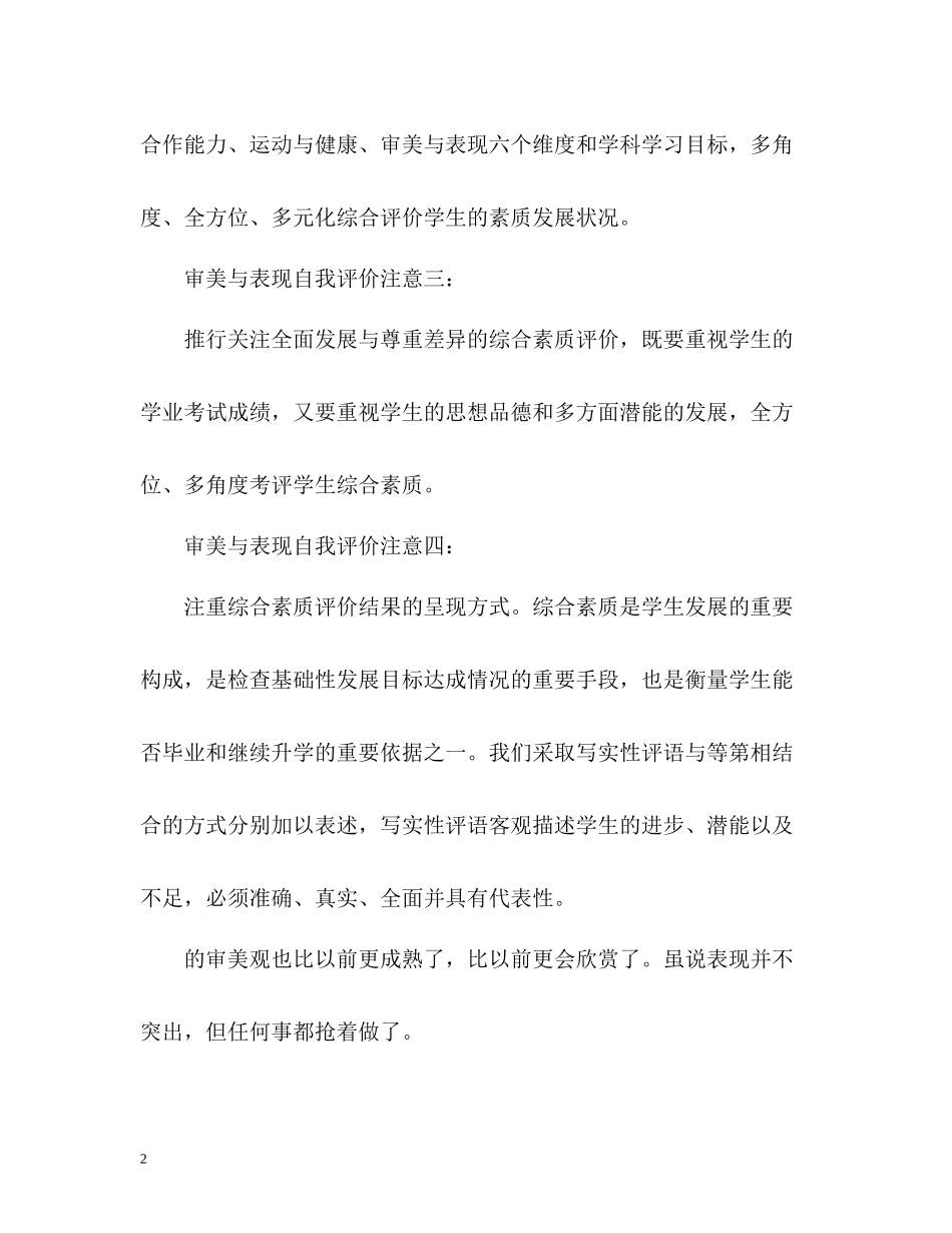审美与表现自我评价注意点_第2页