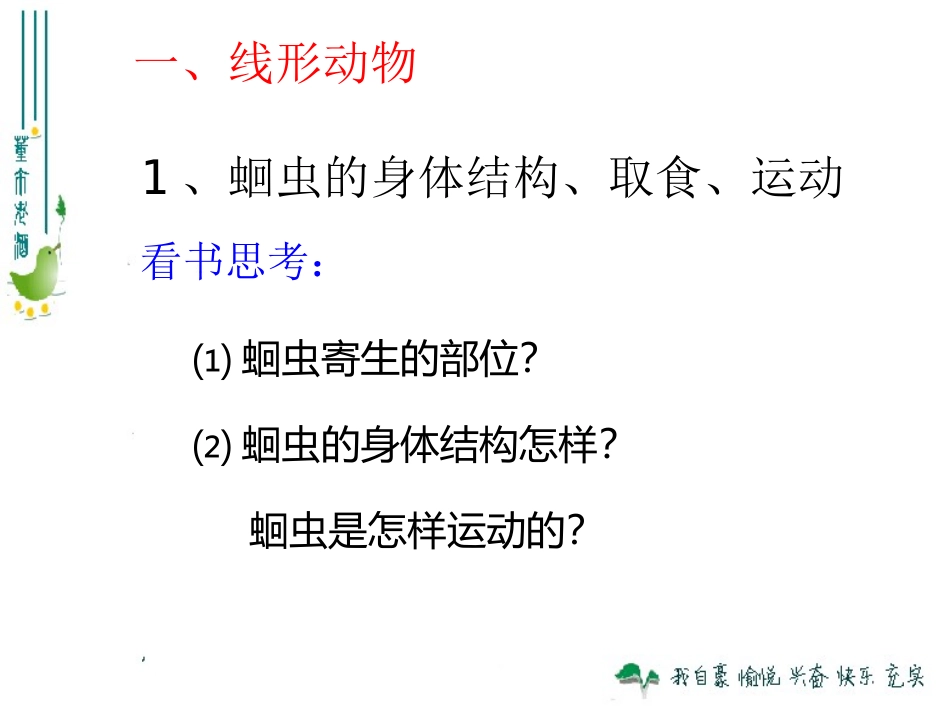 第二节-线形动物和环节动物-课件_第3页