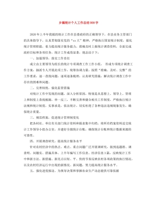 乡镇统计个人工作总结900字