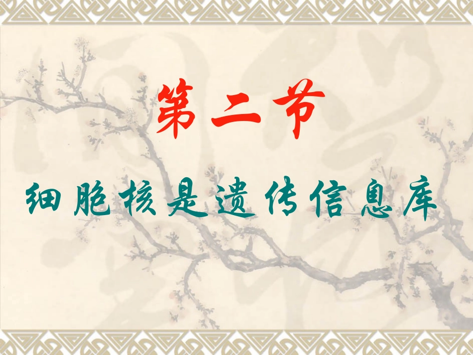 第二节细胞核是遗传信息库_第1页