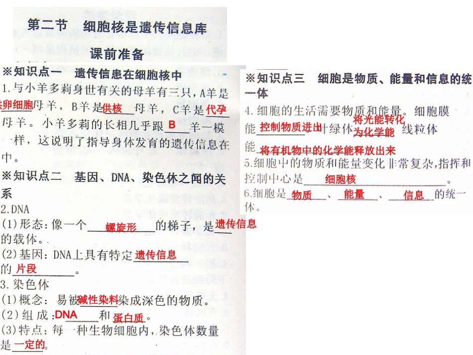 第二节细胞核是遗传信息库_第3页