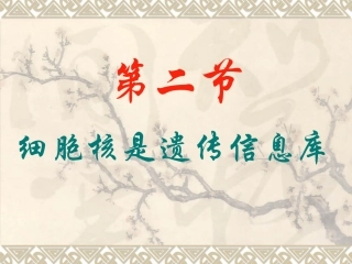 第二节细胞核是遗传信息库