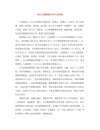 人保财险分公司工作总结