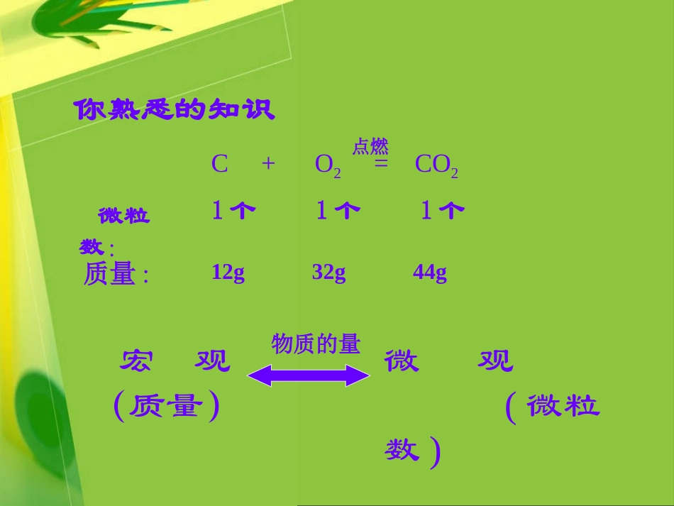 第一节物质的量及其单位_第3页