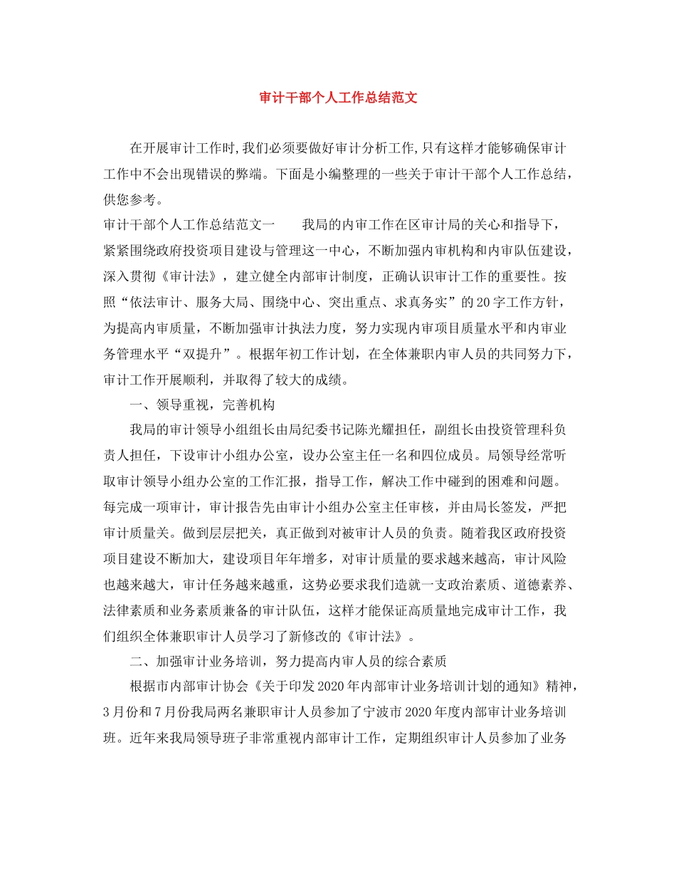 审计干部个人工作总结范文_第1页